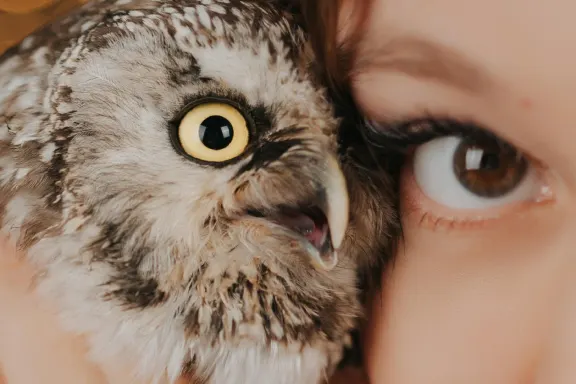 AllStar Slots Casino Support